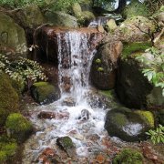 新渡户纪念花园 | Nitobe Memorial Garden