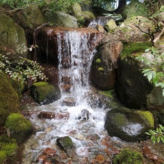 Nitobe Memorial Gard...