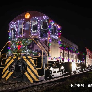 太酷炫！❤️快来安省乘坐神奇的圣诞火车！...