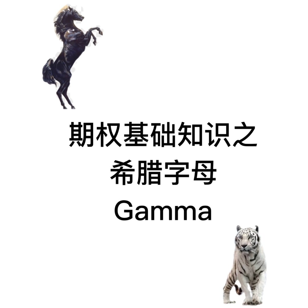 期权基础知识之希腊字母gamma