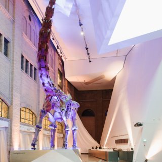 安大略皇家博物馆🎉在夏季将免费开放部分画...