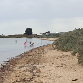 Point Cook Beach