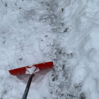 今天雪下得多大？去铲铲就知道了…...