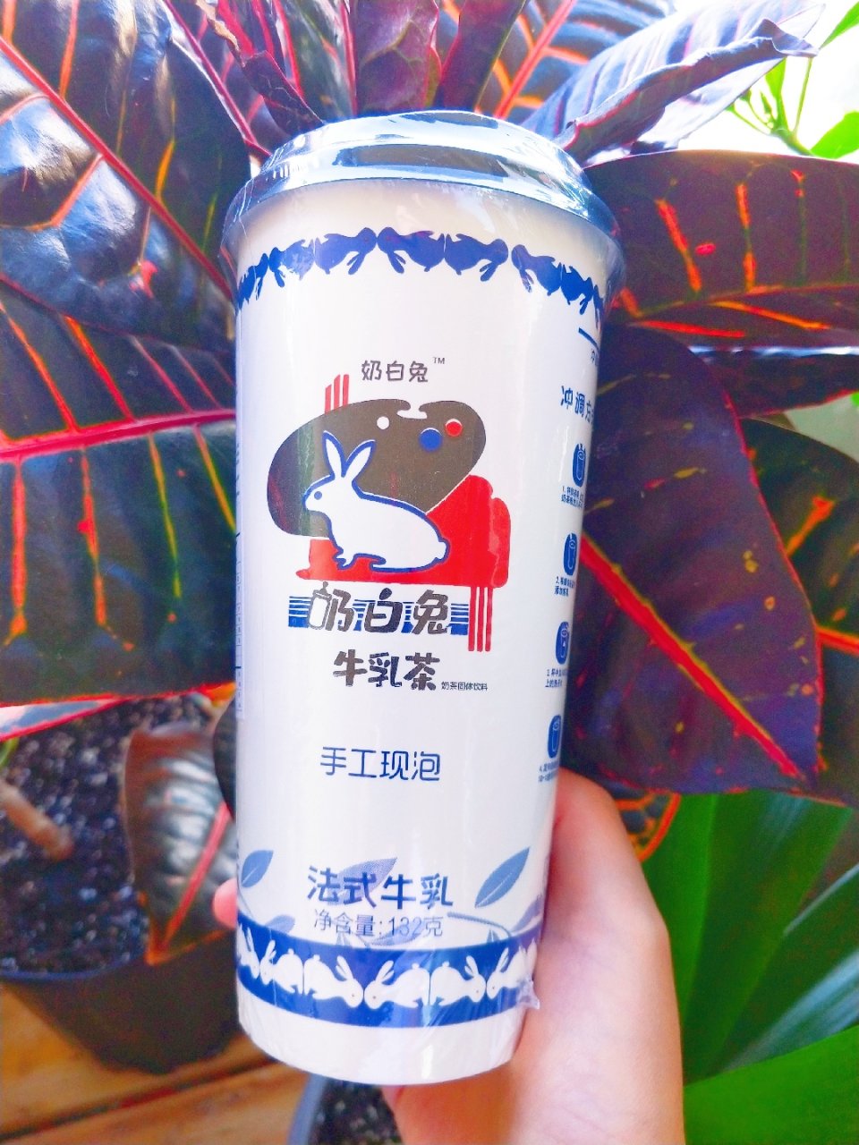 网红大白兔🐰奶茶🍼🍵😣😣😣...