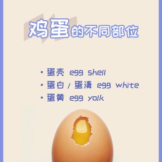 鸡蛋的部位、烹饪、生熟英文表达！...