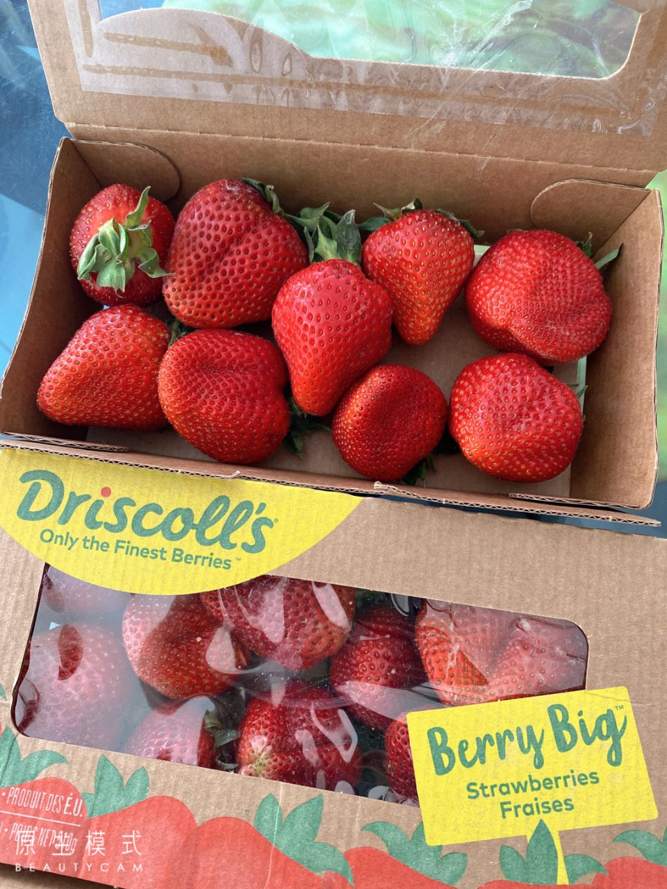 網紅草莓
