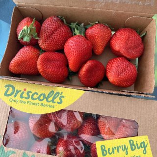 網紅草莓