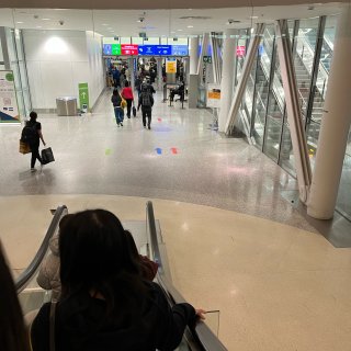 多伦多机场✈️T1 丝滑🛬️入境加拿大...