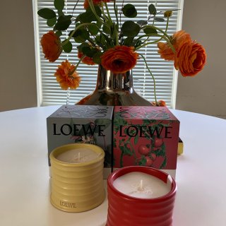 终于get了Loewe的绝美香薰蜡烛🕯️...