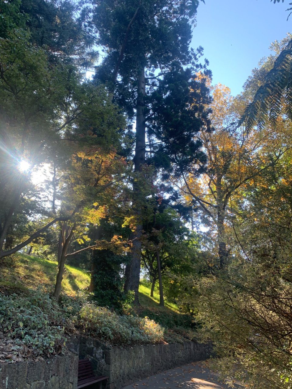 秋天的Royal Botanic Gar...
