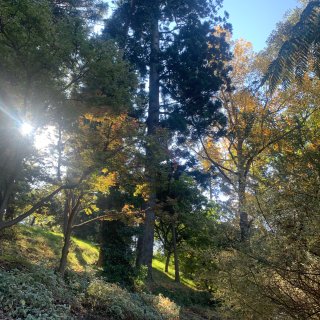秋天的Royal Botanic Gar...