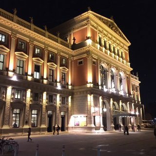 维也纳金色大厅 来感受一下奥地利的艺术～...
