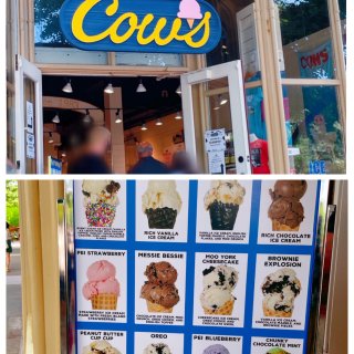 瀑布区必打卡的网红冰淇店COWS...