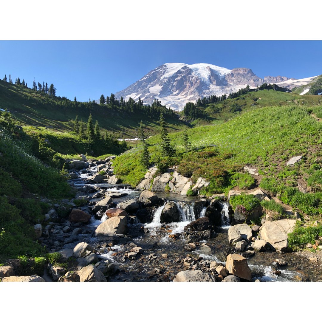 mount rainer | 人间天堂