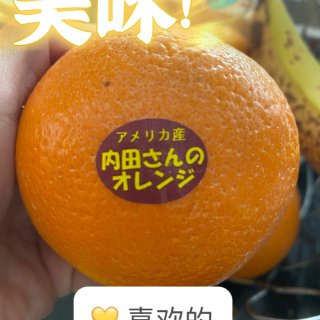 日本甜橙