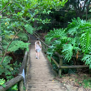 Mosman Bay