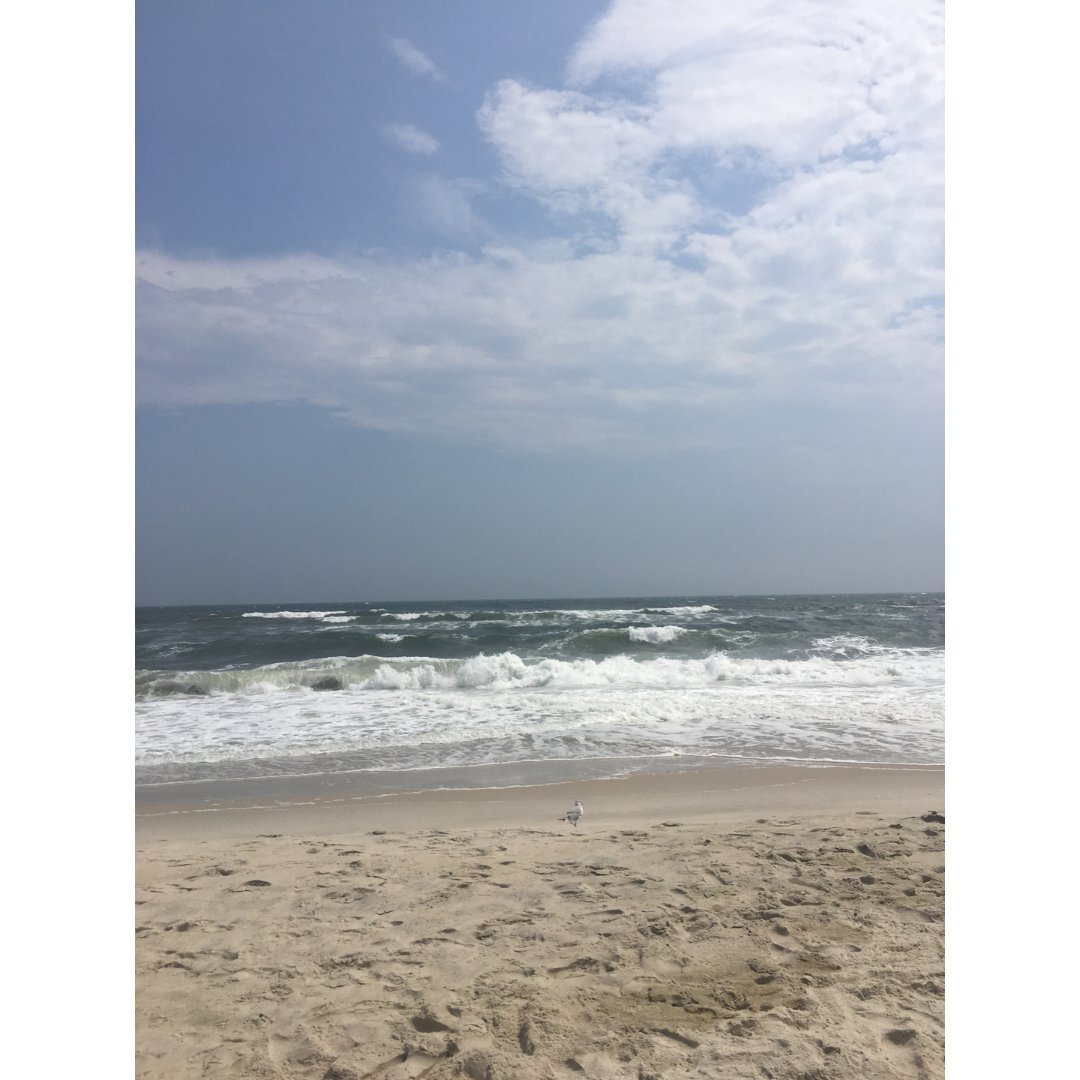 纽约周边游jones beach