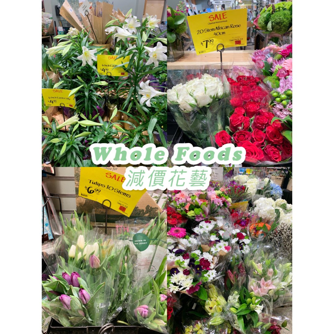 easter lily 复活节百合|如何延长花期?