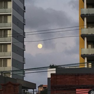 晒个月亮🌕