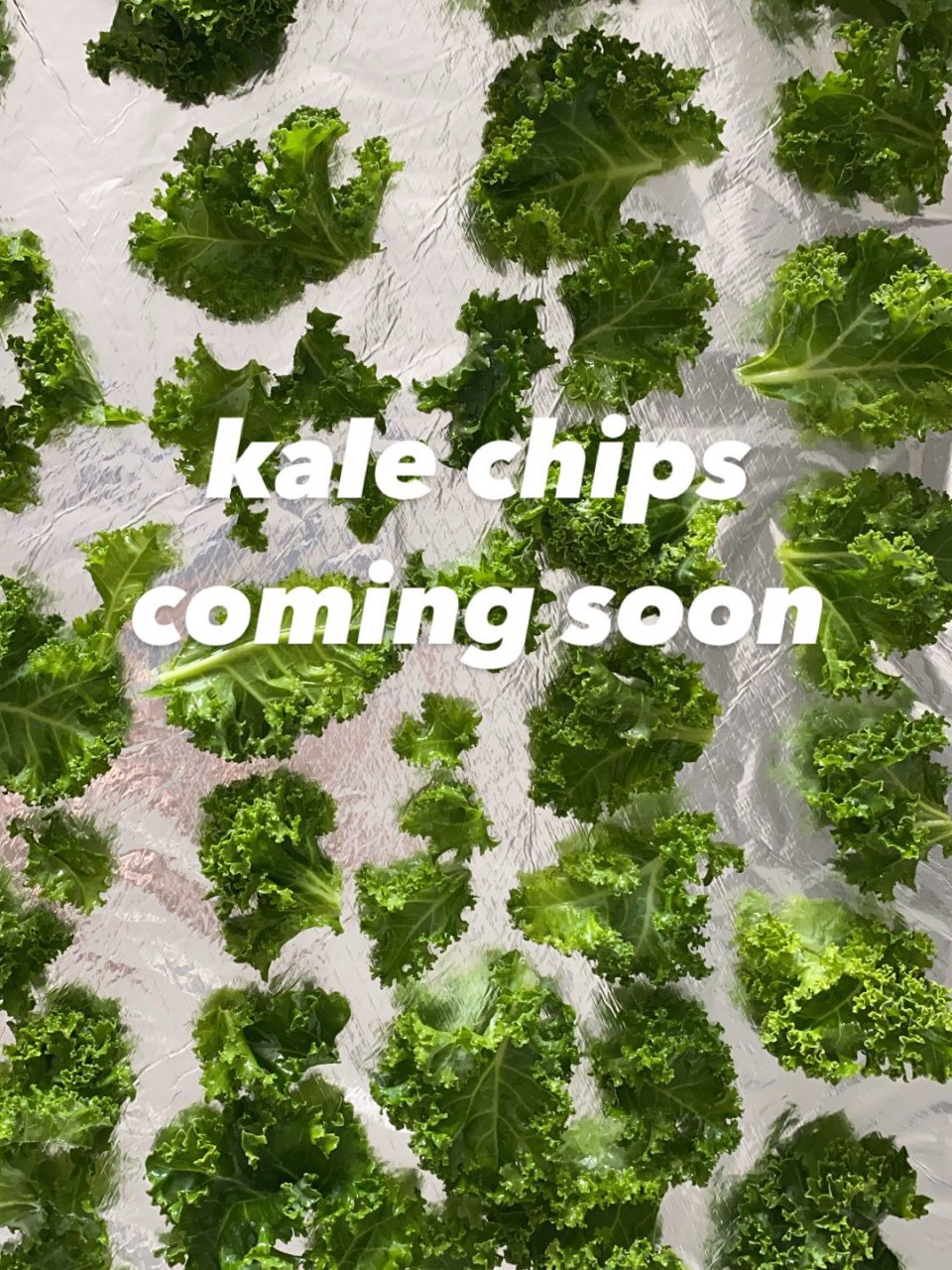 Kale chips