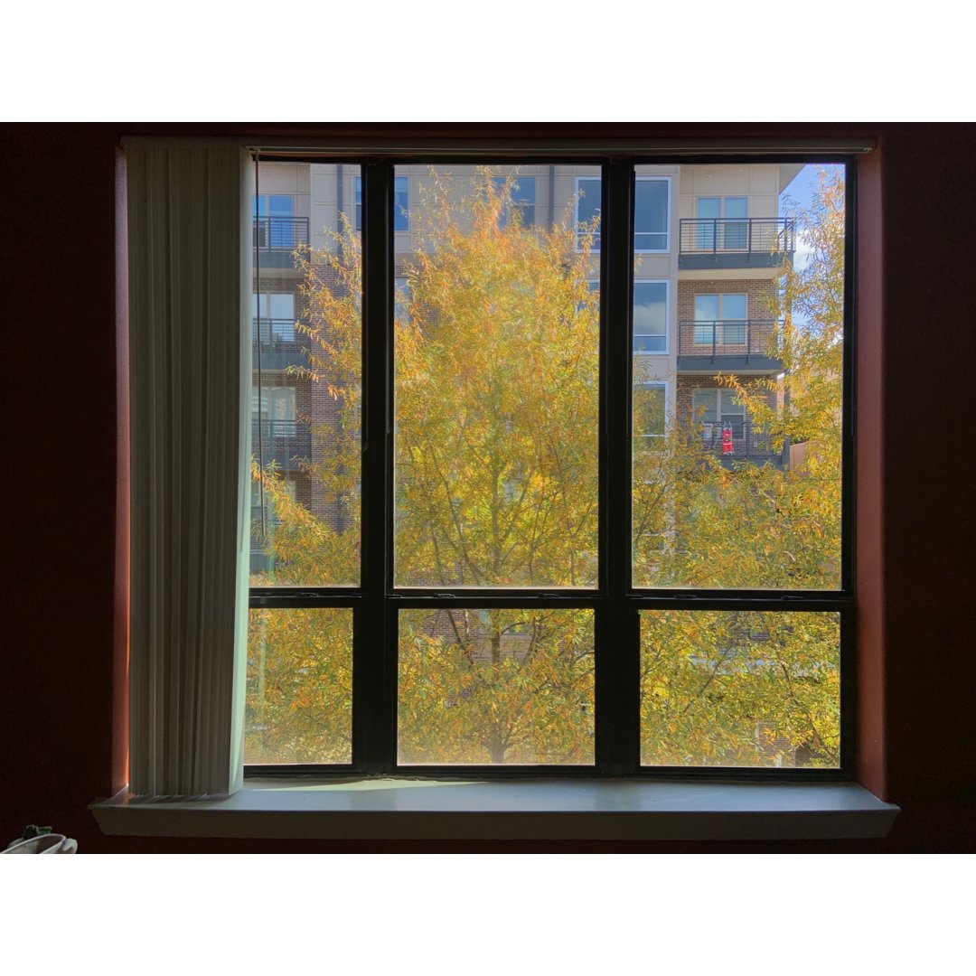 秋天的窗外