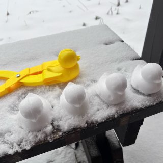 多伦多总算下雪啦｜开启捏鸭子模式...