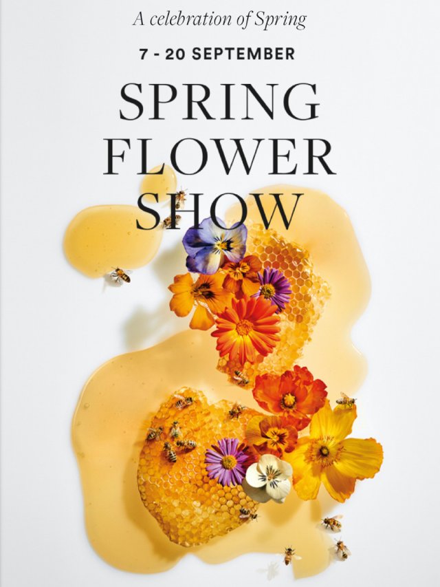 悉尼宝宝们的福利~David Jo...