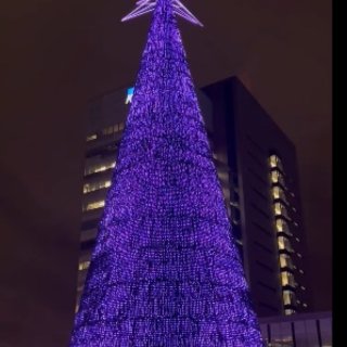免费观看🆓多伦多最高的LED圣诞树，超炫...