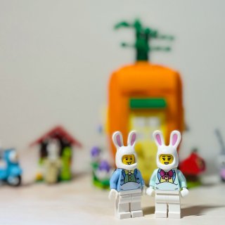 乐高胡萝卜屋·给兔兔们搭建一个温馨的小窝...