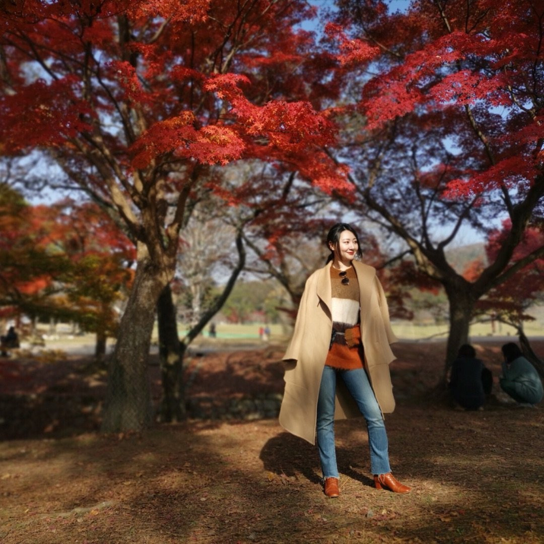 奈良公园的枫叶太美了！枫叶色穿搭🍁...