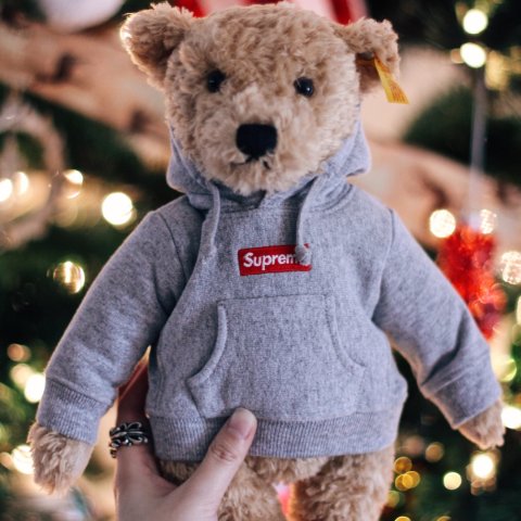 【Supreme】有趣玩具—泰迪熊