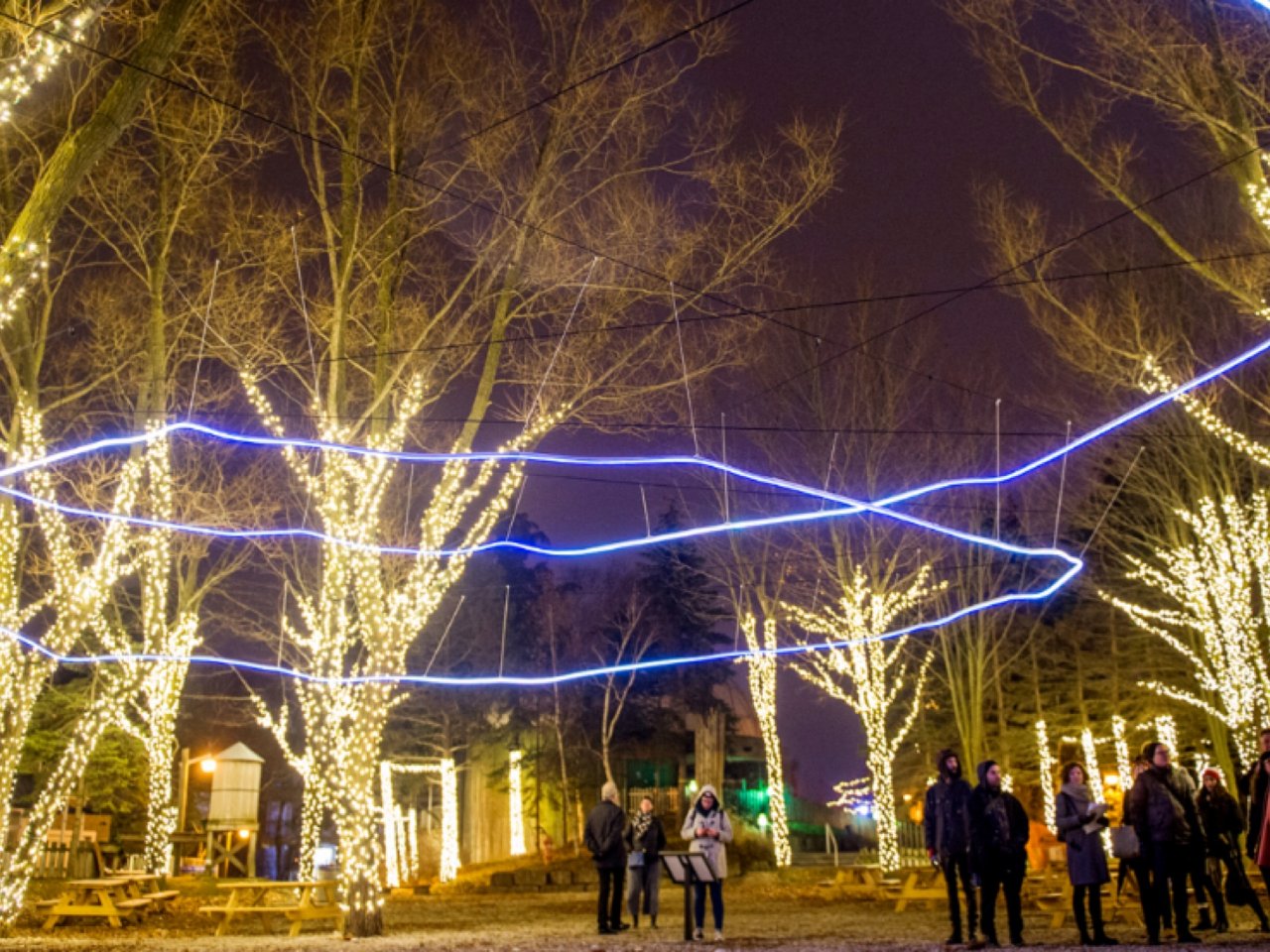 期待🥰大型冬季灯饰展览将回归安大略广场！...