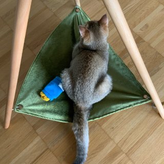 可爱的猫咪吊床 Triangle Ham...