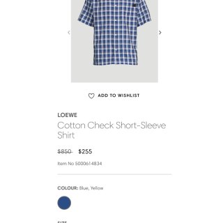 罗意威男士格纹短袖衬衫LOEWE Cotton Check Short-sleeve| Holt Renfrew Canada