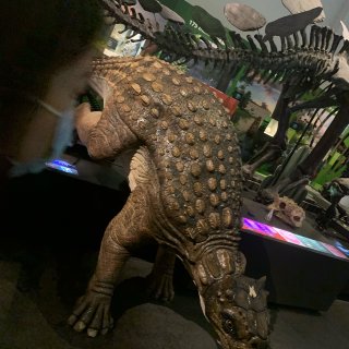 悉尼博物馆恐龙展...