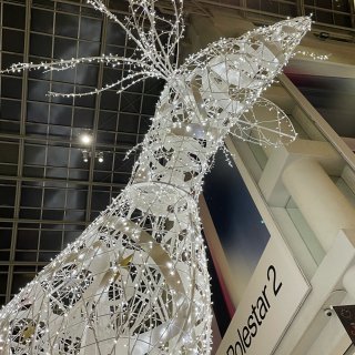 今年的多伦多 妥妥的白色圣诞🎄！...