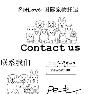 PetLove 国际宠物托运...