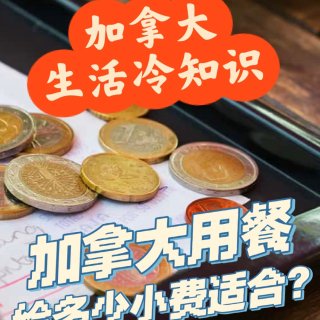 🌈加拿大用餐🍽🍕给多少小费💵适合？...