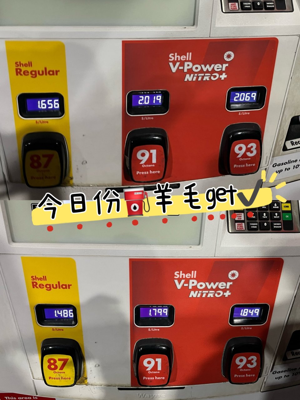 Shell4/30加油⛽️薅羊毛...