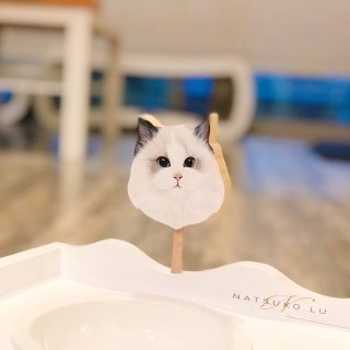 淘宝买什么：猫咪餐桌+仙女逗猫棒...