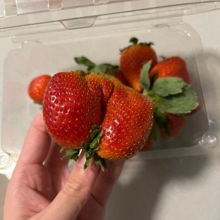 居然是甜的草莓🍓...