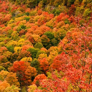加拿大神仙秋景