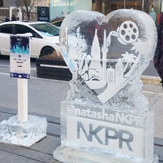 NKPR 冰雕环游世界...