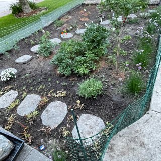 DIY花园改造之石头路完工...