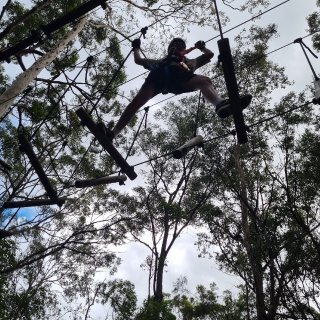 Gold Coast Treetop C...