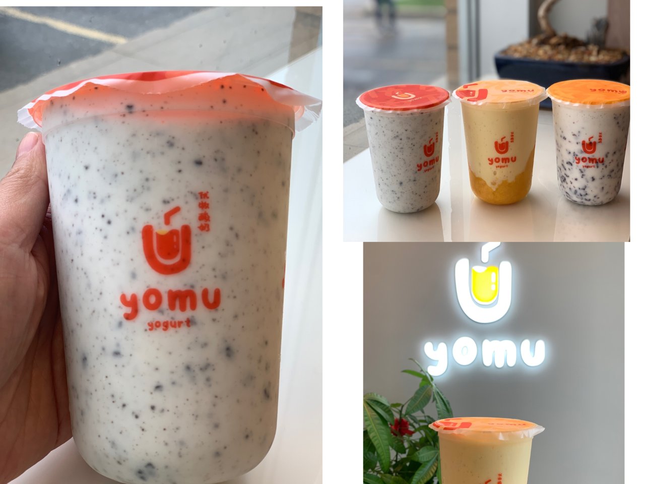 发现一家新的酸奶店：yomu...
