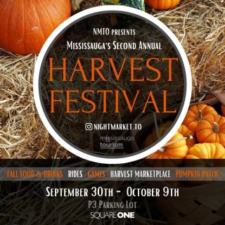 期待😍第二届密市Harvest Fest...