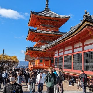 京都寺庙神社之行...