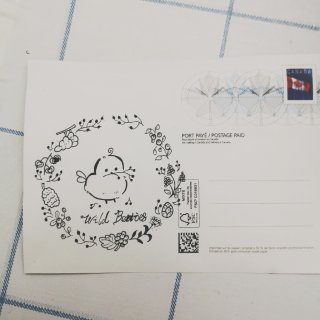 🇨🇦加拿大邮局🏣送的免费明信片✍🏻大家寄...