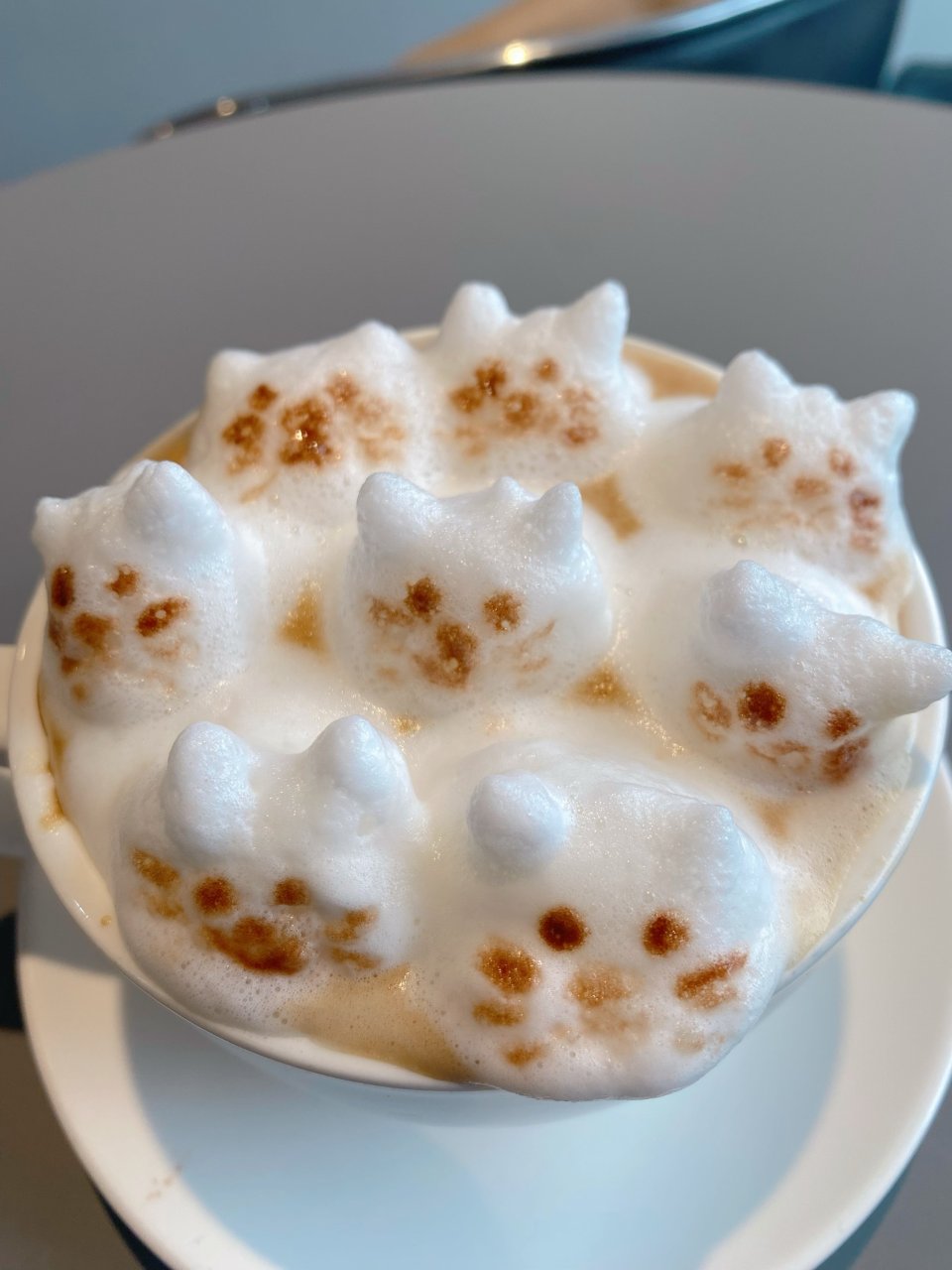 🇨🇦多倫多可愛到爆的3D立體咖啡｜🐾約起...